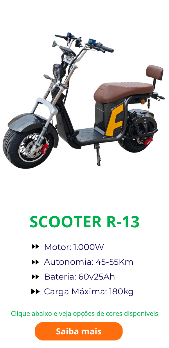 R13